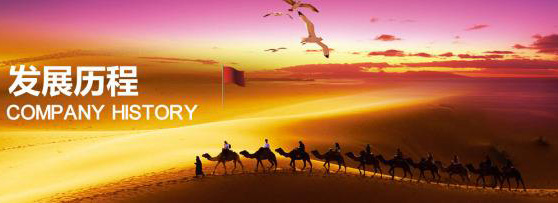 發(fā)展歷程 發(fā)展歷程